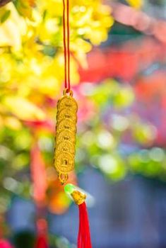  Vương quốc giải trí 
